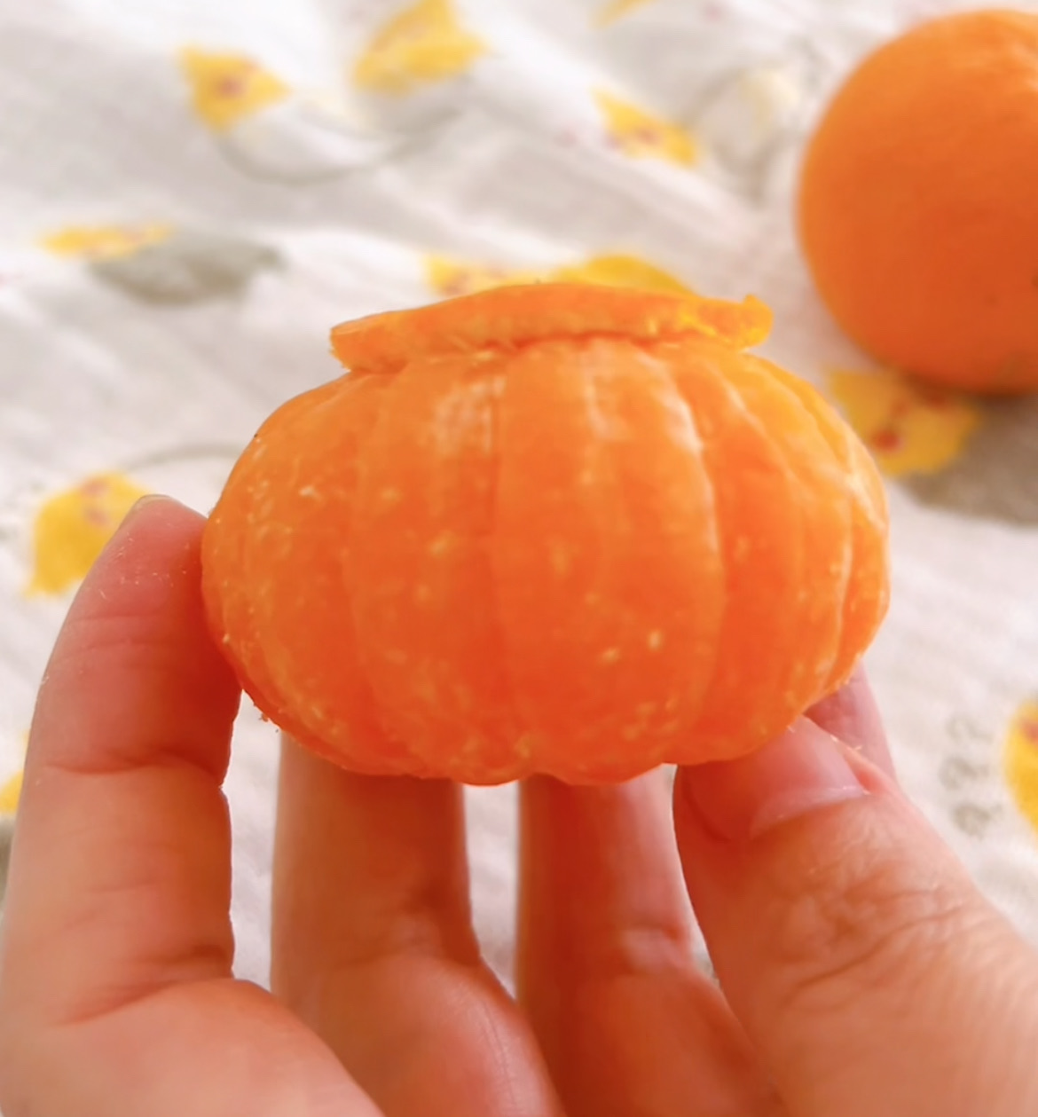 みかんアート鬼⭐︎節分おやつ・パンまとめ : まんまるほっぺ