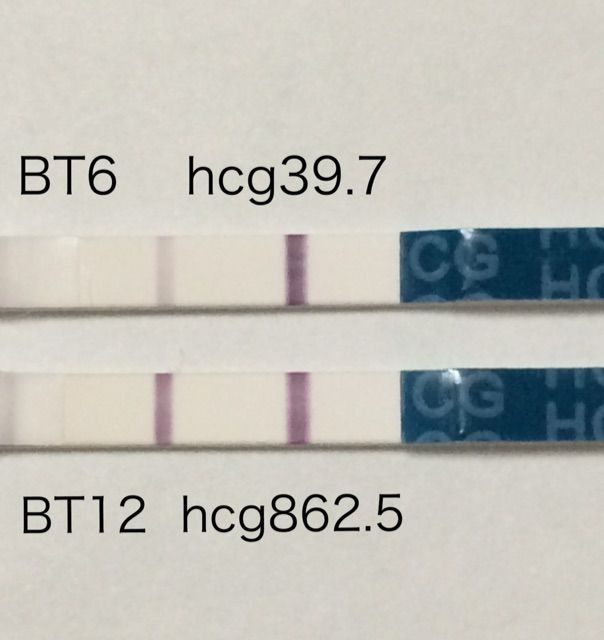 新宿art Bt6とbt12の妊娠検査薬 Wondfo いつか必ず3人のママに