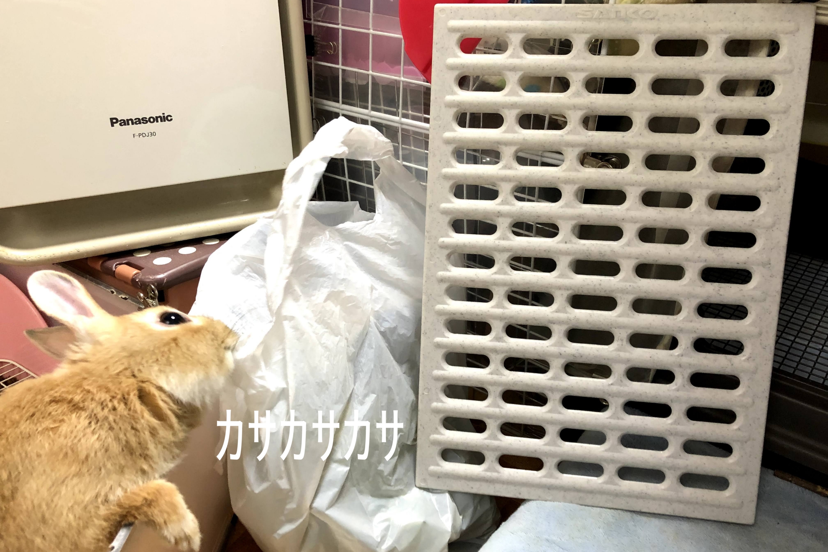 とりあえずのソアホック対策 ぺろぺろうさぎぷうの部屋 とりあえずのソアホック対策 ぺろぺろうさぎぷうの部屋