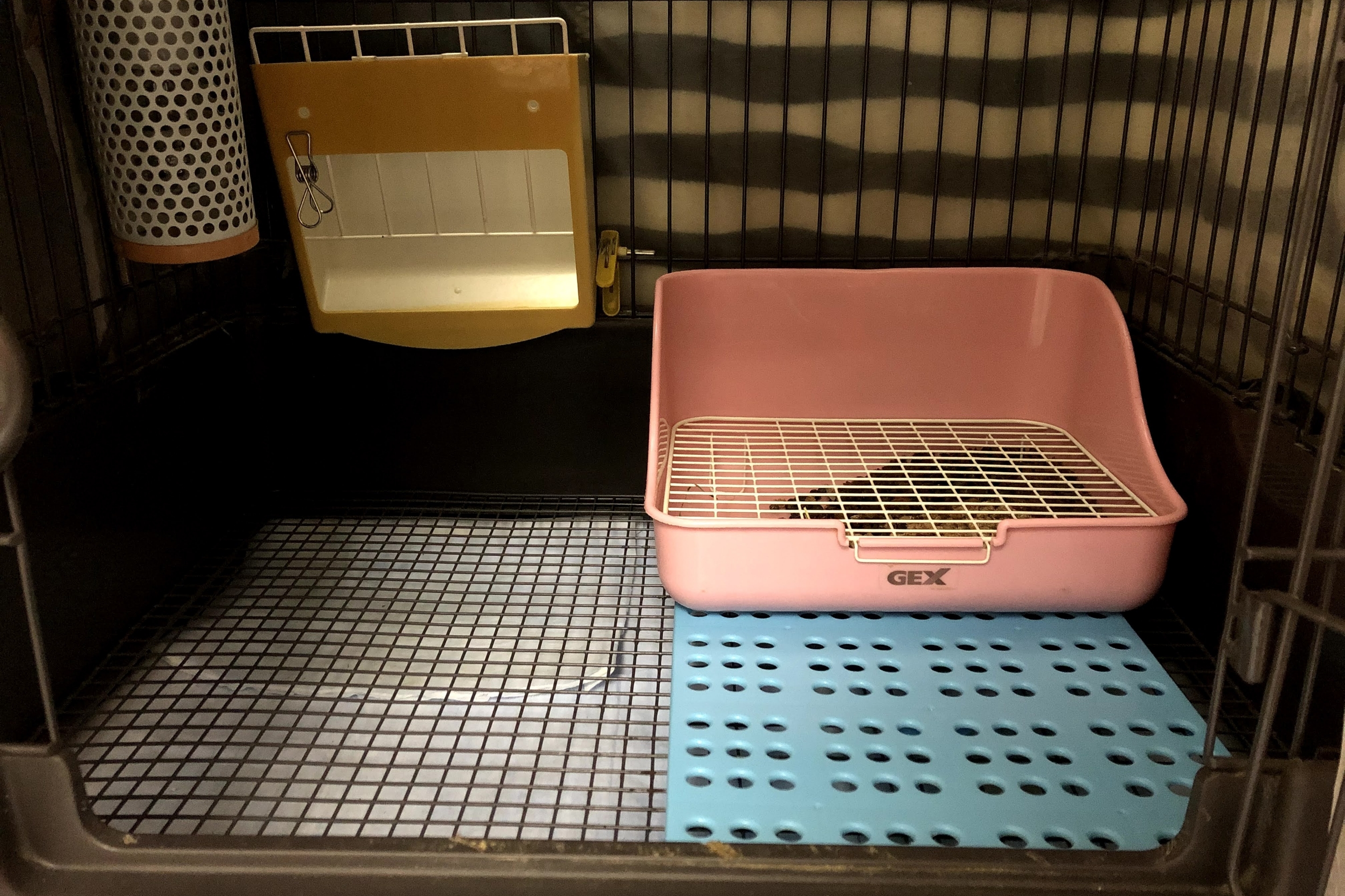 とりあえずのソアホック対策 ぺろぺろうさぎぷうの部屋 とりあえずのソアホック対策 ぺろぺろうさぎぷうの部屋