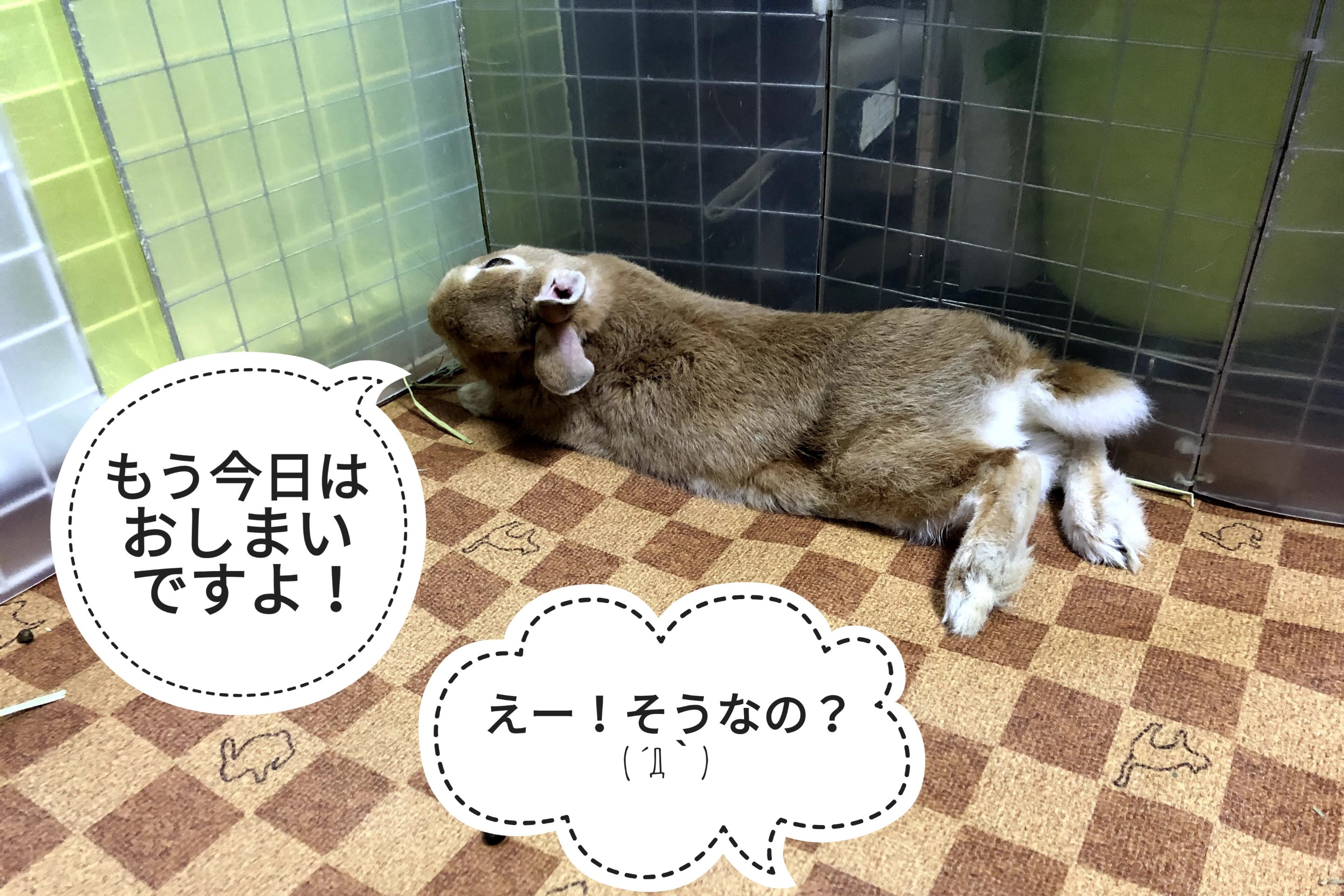 さらに解体が進み… : ぺろぺろうさぎぷうの部屋