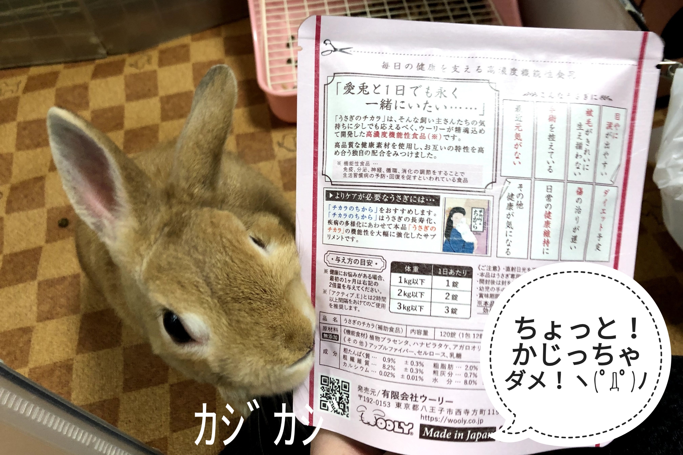 食べ物だ って分かっちゃう ぺろぺろうさぎぷうの部屋
