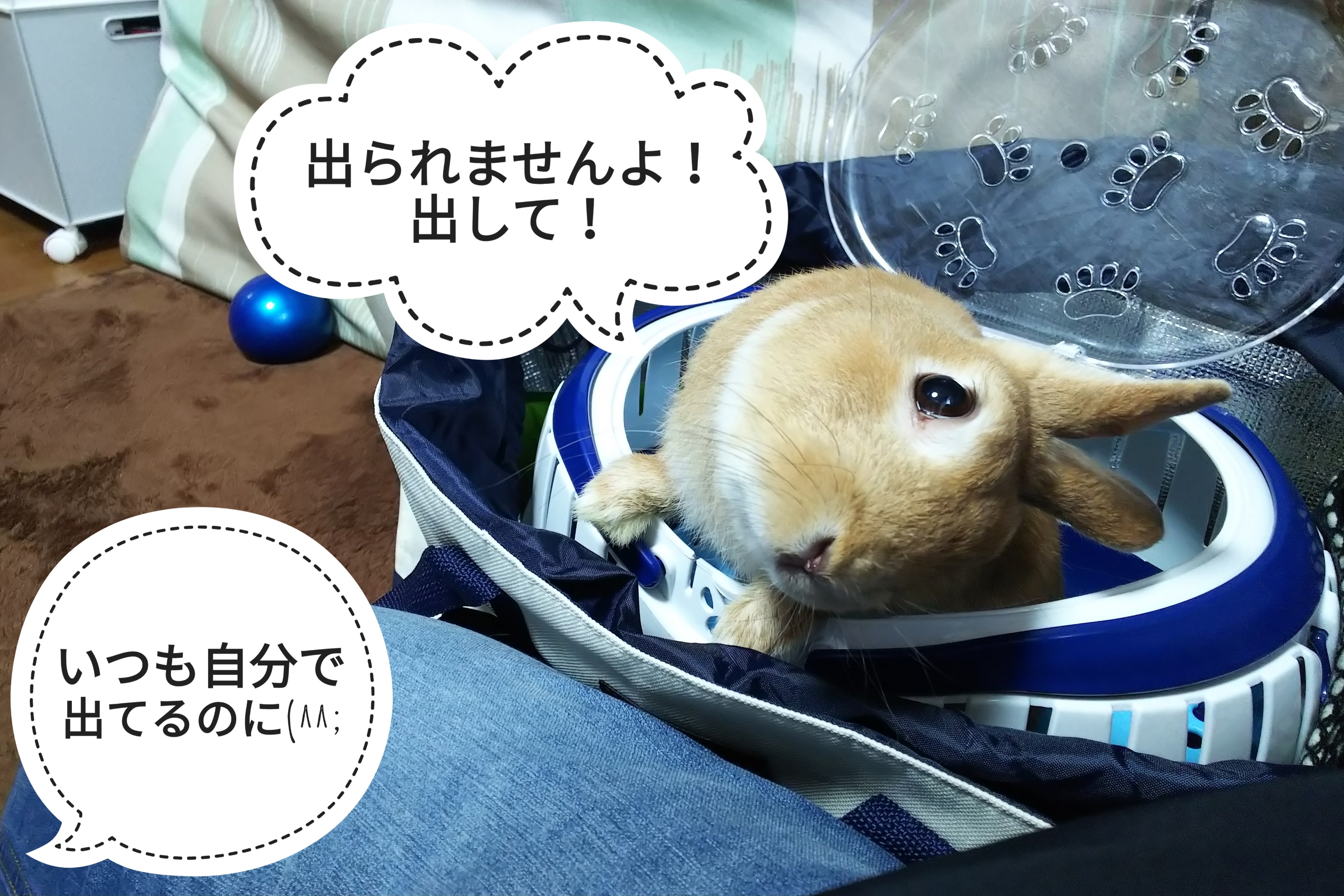 助けてサイン ぺろぺろうさぎぷうの部屋