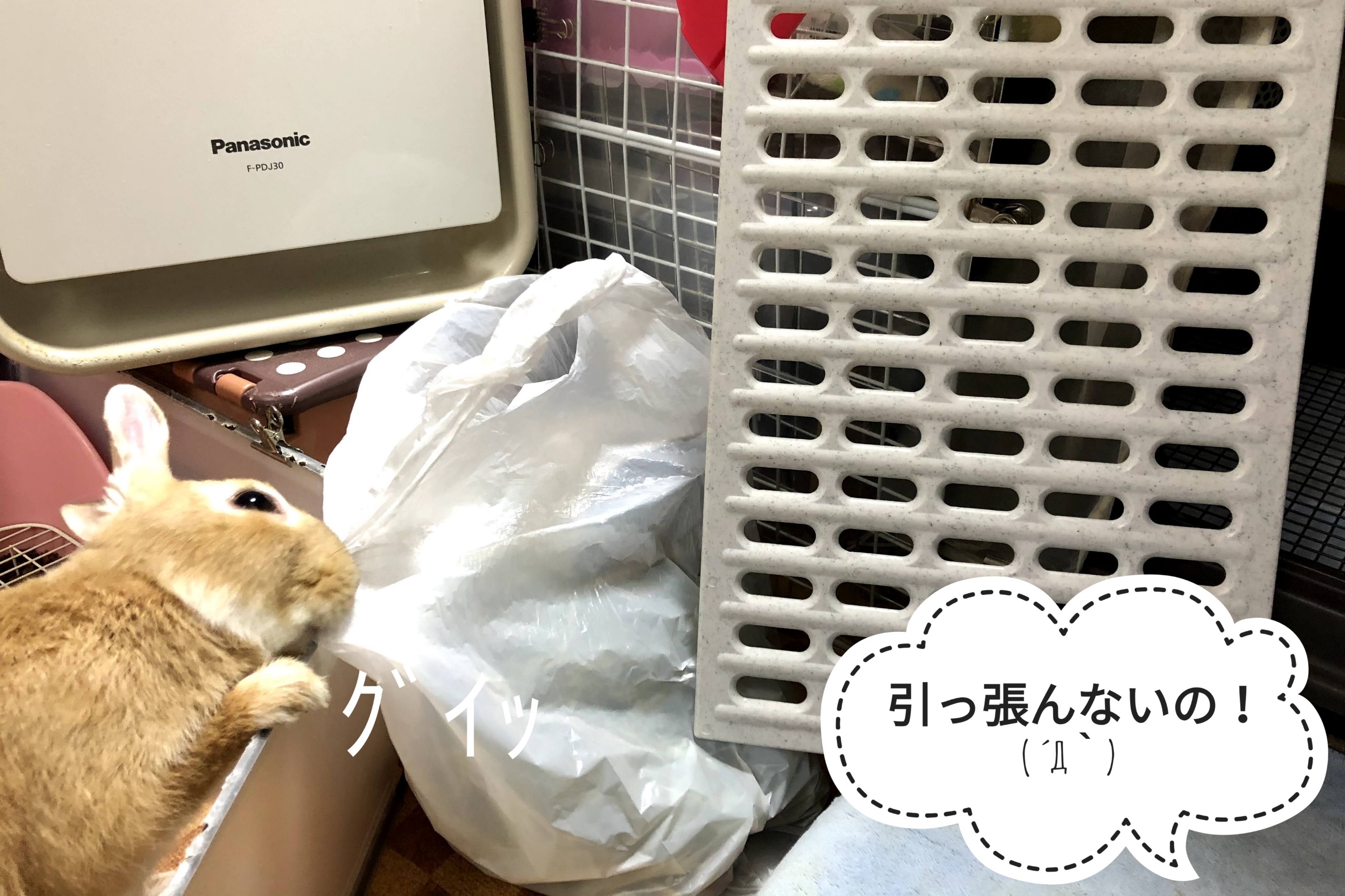 とりあえずのソアホック対策 ぺろぺろうさぎぷうの部屋 とりあえずのソアホック対策 ぺろぺろうさぎぷうの部屋