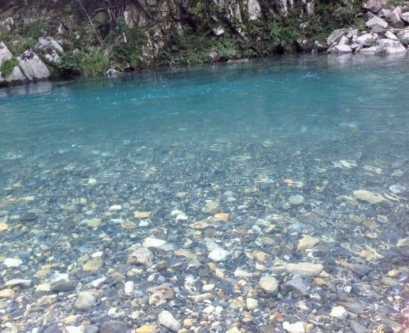 古座川で川泳ぎ Puyomeのごはんできてるよ