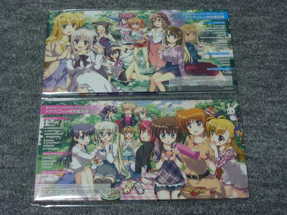冬コミ Nanoha Vivid Strike ブースの戦利品 設定資料集除く パズライズ日記