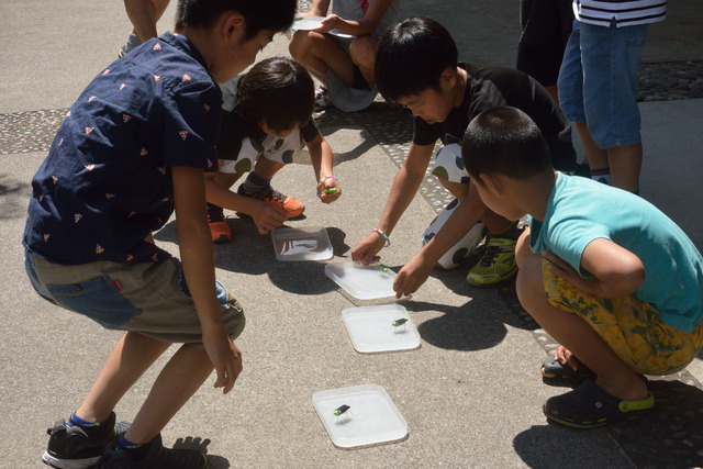 科学の祭典で「ソーラーバッタを作ろう」（2019-8-11）⑮