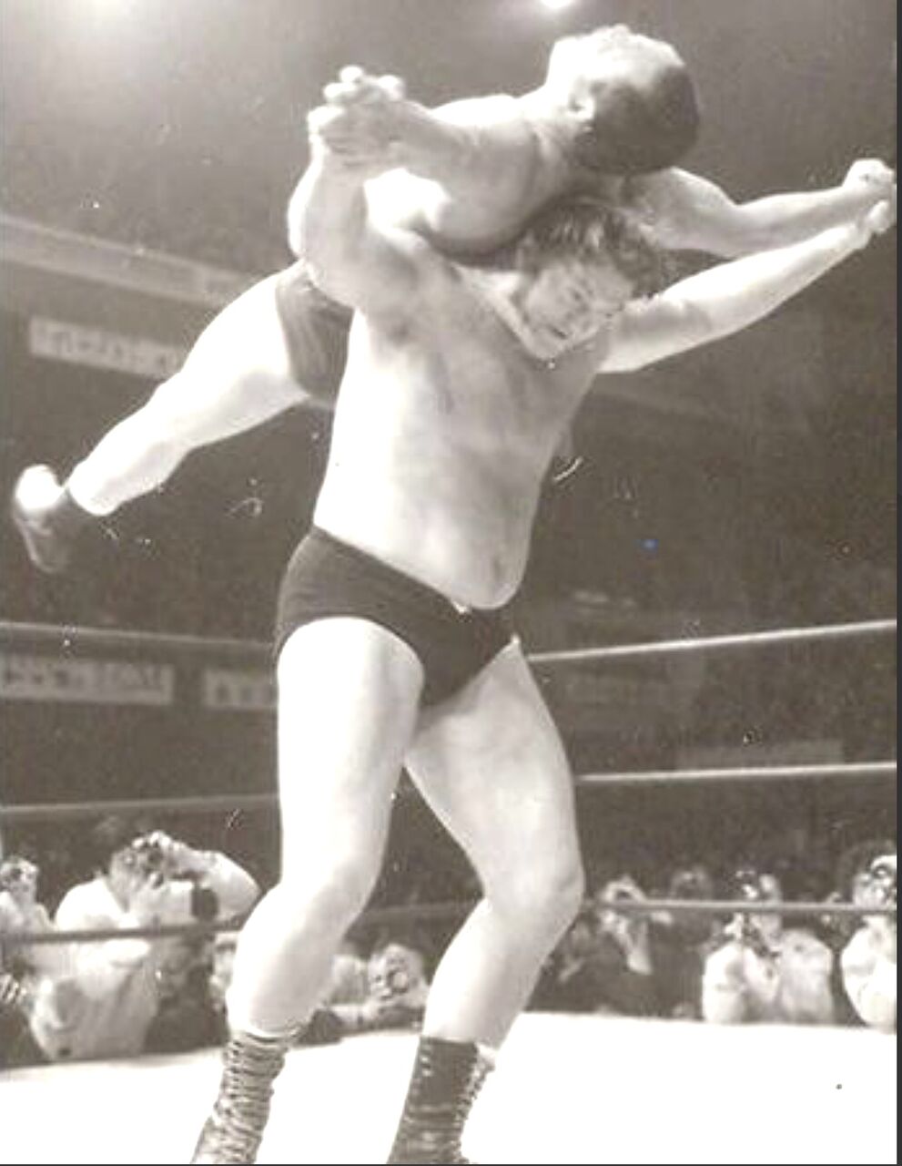 11 28 何故に昭和プロレスファンがスターダムに走るのか プロレス道場店長の道場ブルース日誌