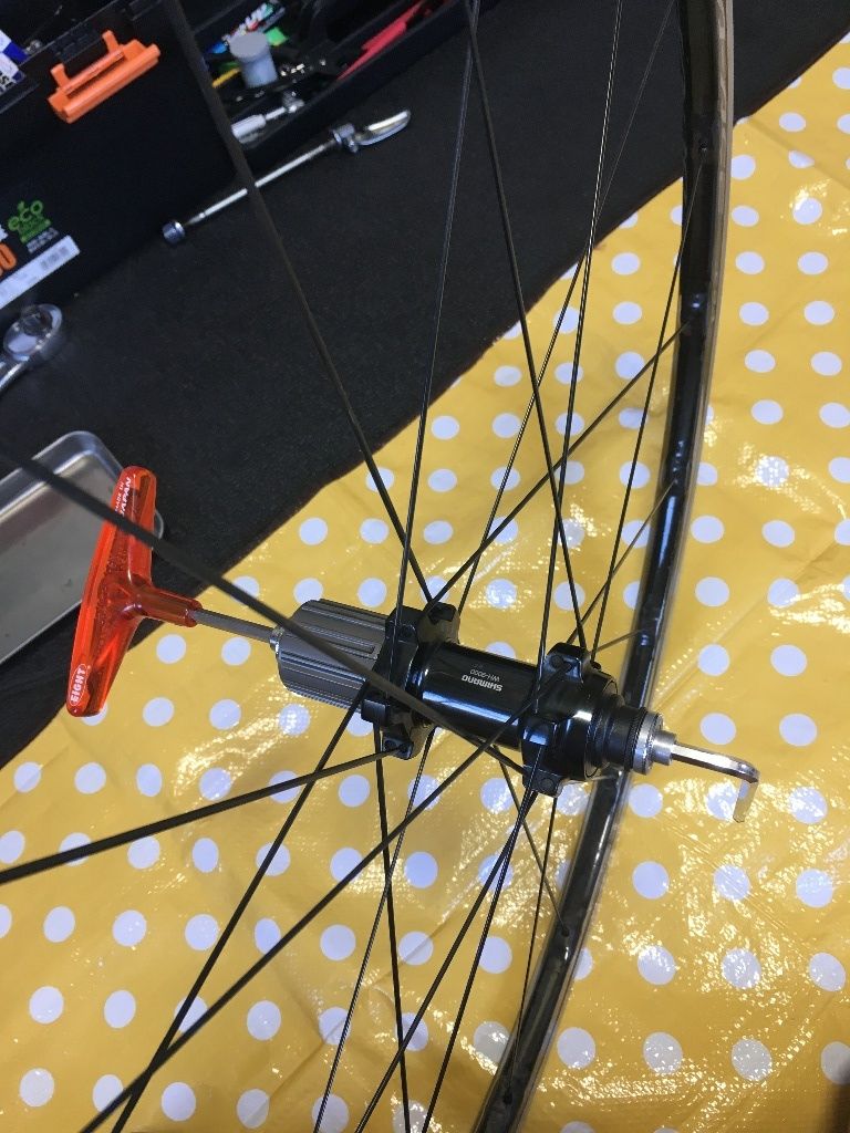 イメージ 1