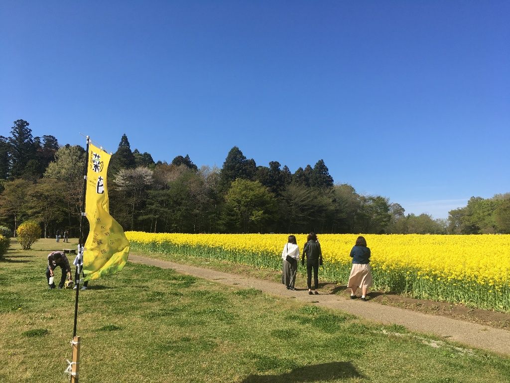 イメージ 3