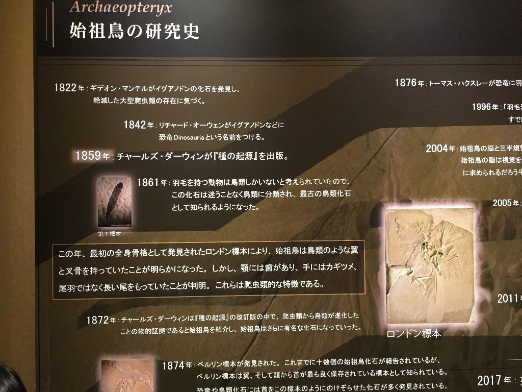 イメージ 5