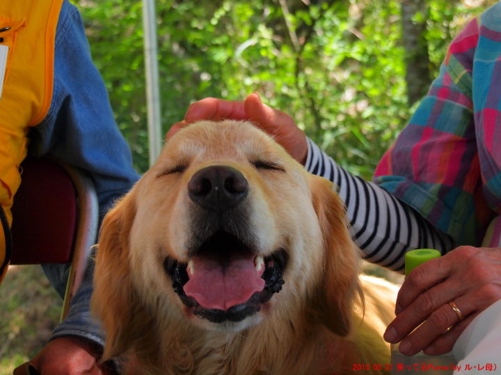 15 05 30 土 花と緑と動物ふれあいフェスタ Saku Loft Garden 気まぐれdiary 15 05 30 土 花と緑と動物ふれあいフェスタ Saku Loft Garden 気まぐれdiary