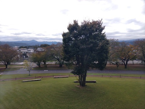 CENTER_0001_BURST20251021115005463_COVER