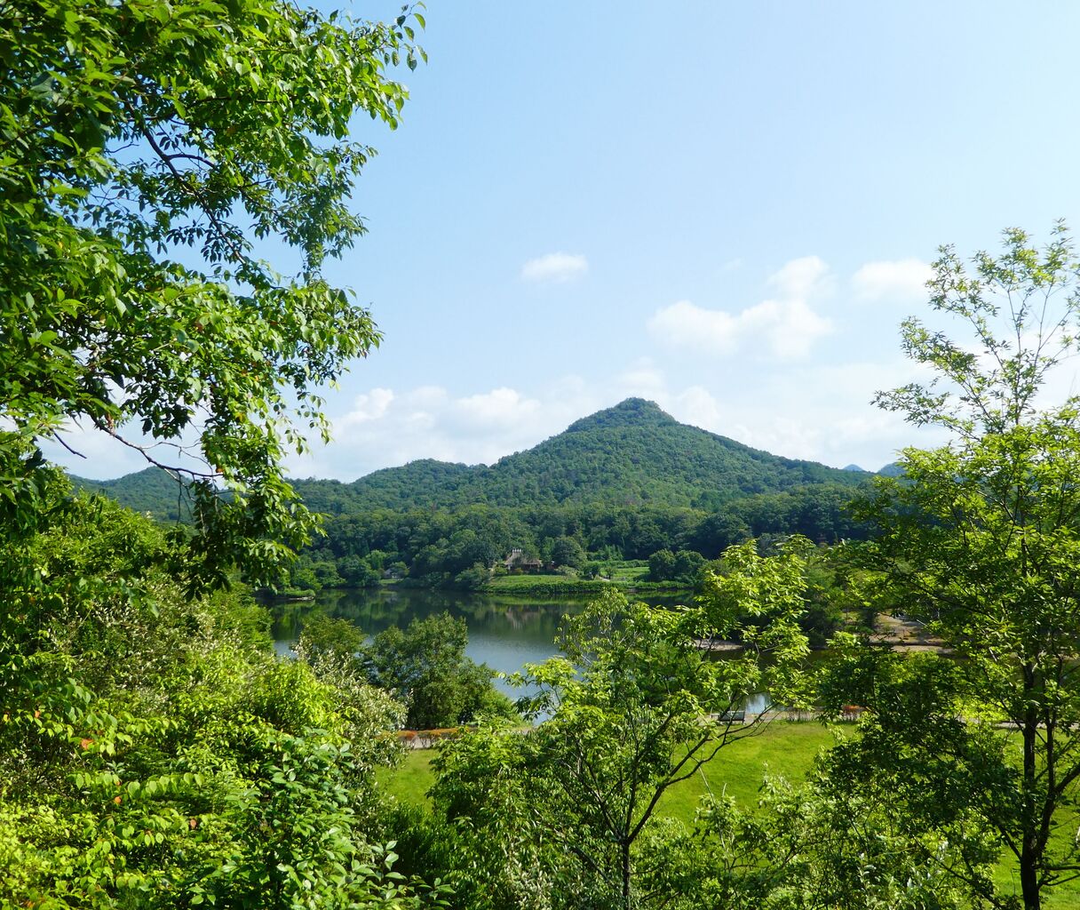 三田市 里山遊びの日記