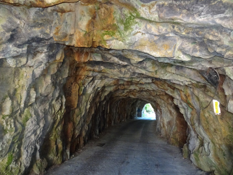 202510_6台湾ツアー  (9)