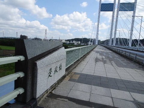 20082807
