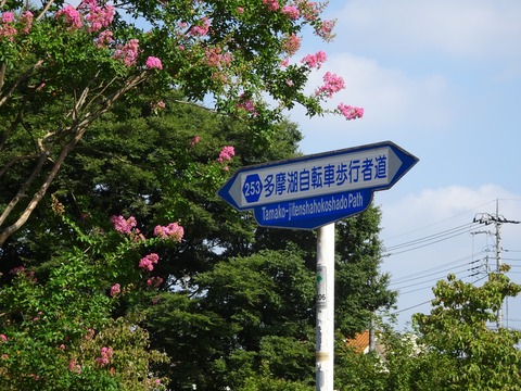 20082602