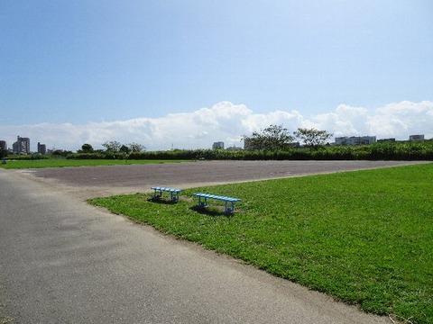20082804
