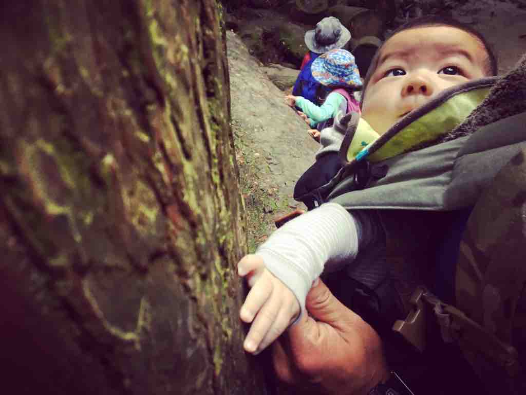 生後4ヶ月の赤ちゃんの自然治癒力 下痢編 Pygmy Times