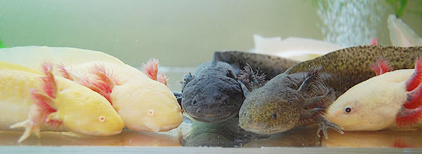 8B83104F-0D1E-45B8-A14F-922CBF5319F9