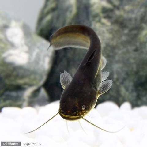 E9A2E237-B0BF-4383-98C2-61B81E562F92