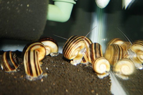 D33B7A36-3EB2-46D8-91F8-B7963F3BAD62