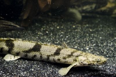 FD48DB98-B171-4B2F-BFC6-5FE558B0F05B