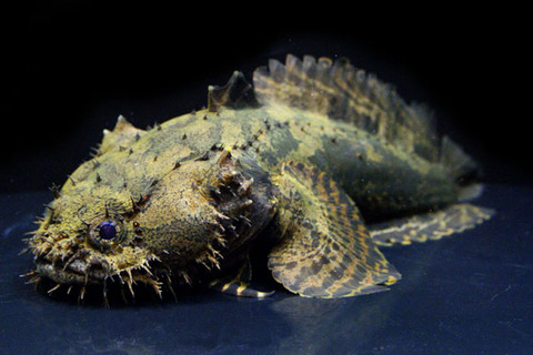 3F1F38F3-F93B-4923-B410-E2304DBE4410