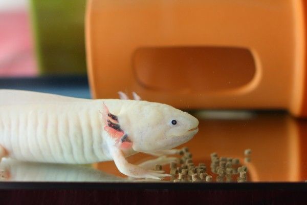 14ED57A0-4EFA-4311-A4DA-761CB6F12D81