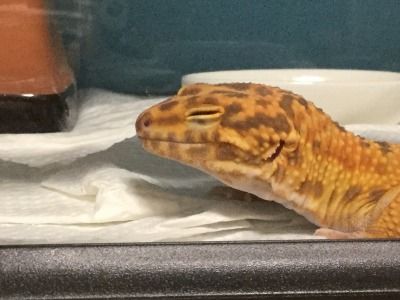 2CDF2385-BBE7-4721-BD0A-CC286722D34D