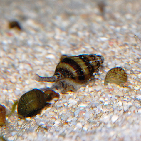 9E43E605-19C2-4402-815E-0C53E0BCCA86