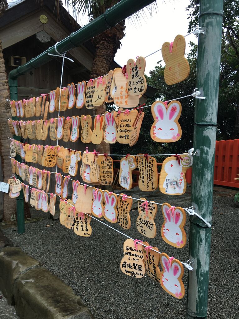 宮崎に来たらうさぎ神社でしょ スシローが主食