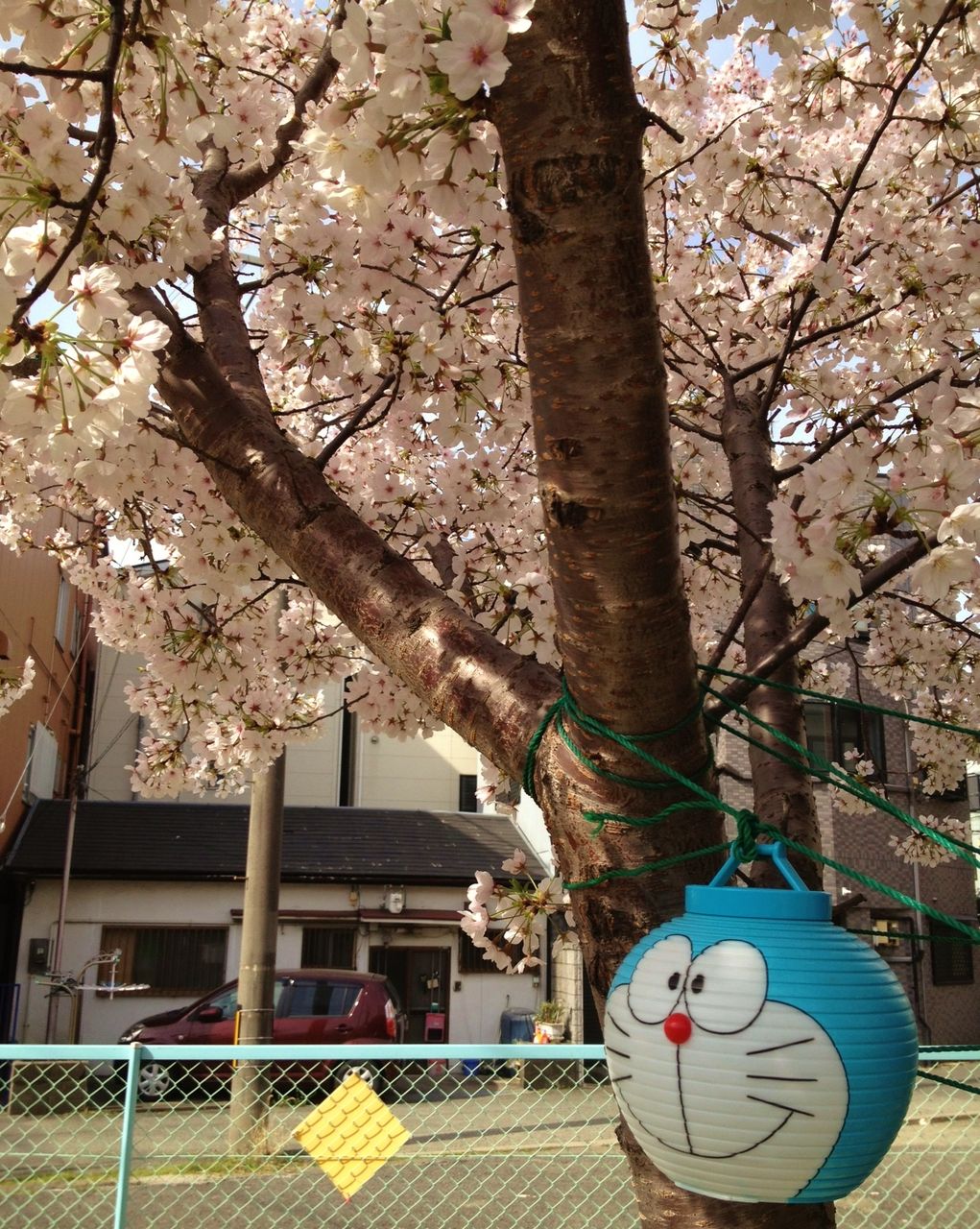 うだま 梅田 ビールが主食