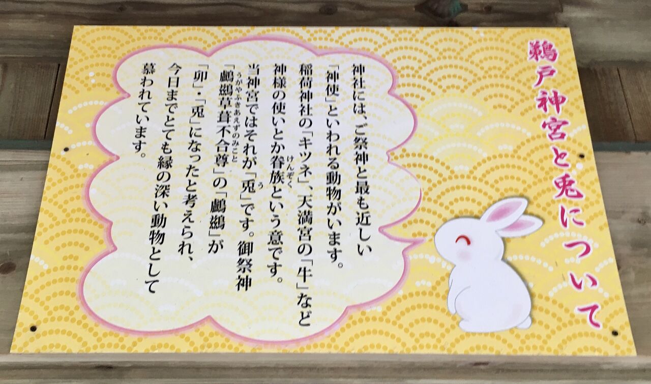 宮崎に来たらうさぎ神社でしょ ビールが主食