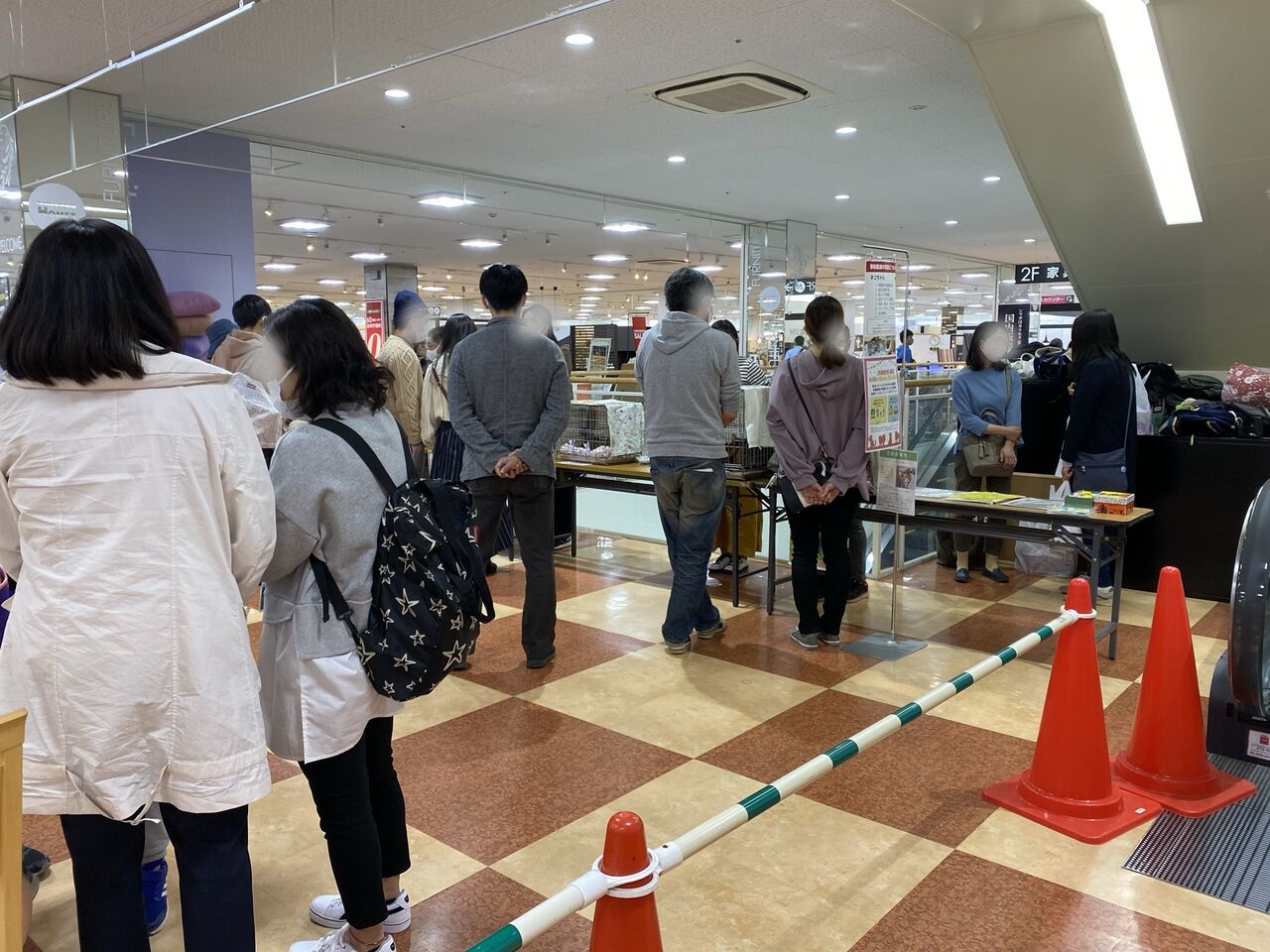 みさと動物愛護クラブ譲渡会 島忠ホームズ三郷中央店 酒とケモノと人間と