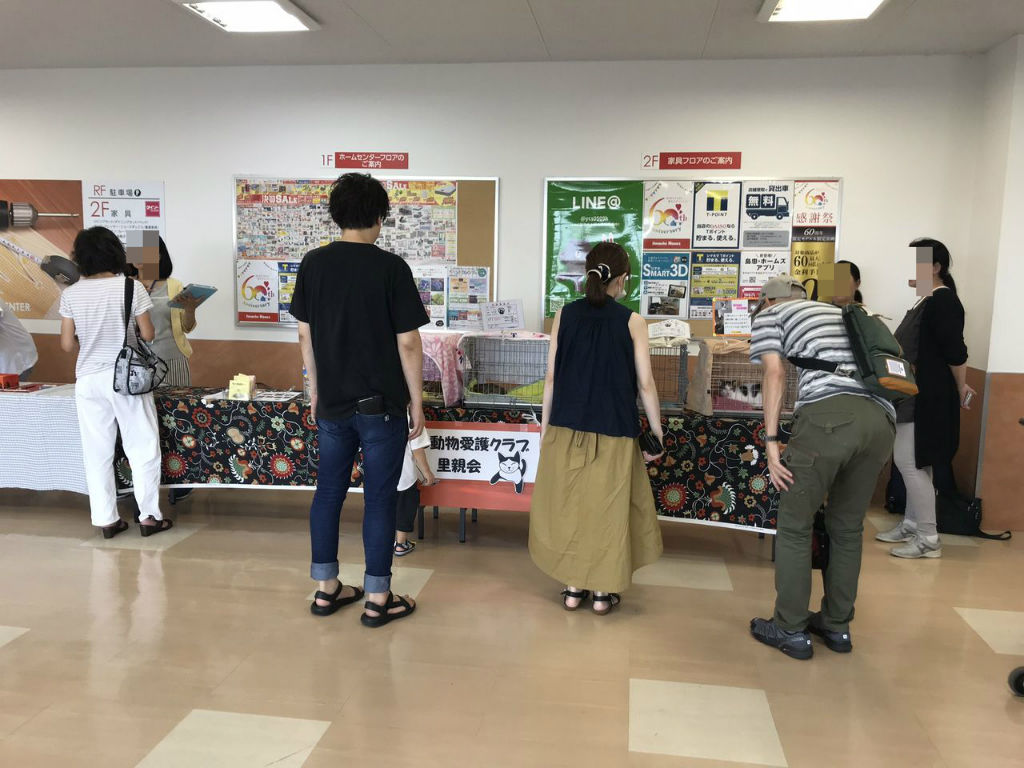 みさと動物愛護クラブ譲渡会 島忠ホームズ三郷中央店 酒とケモノと人間と