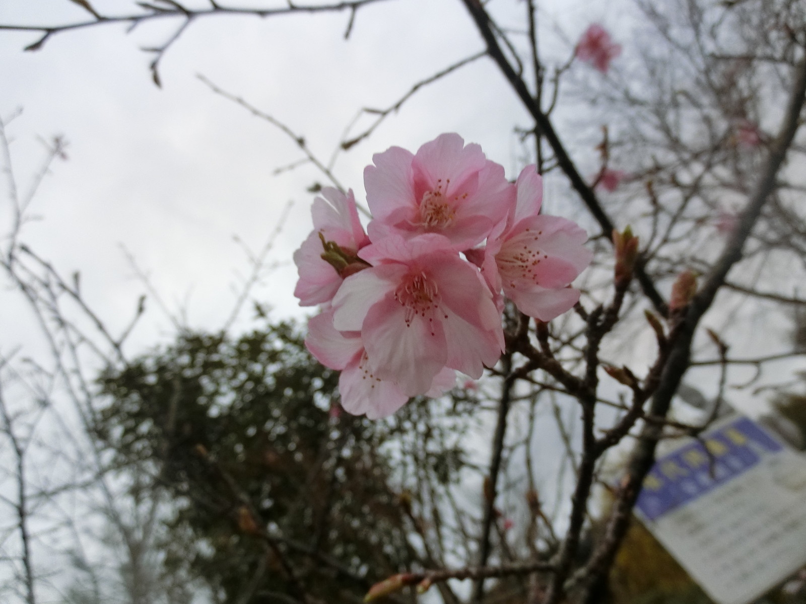 偶然の巡り合わせ いち僧の日記 偶然の巡り合わせ いち僧の日記