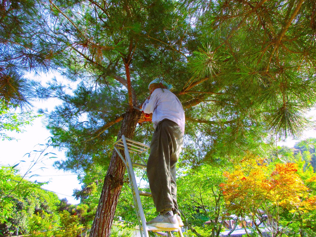 IMG_7836 - コピー