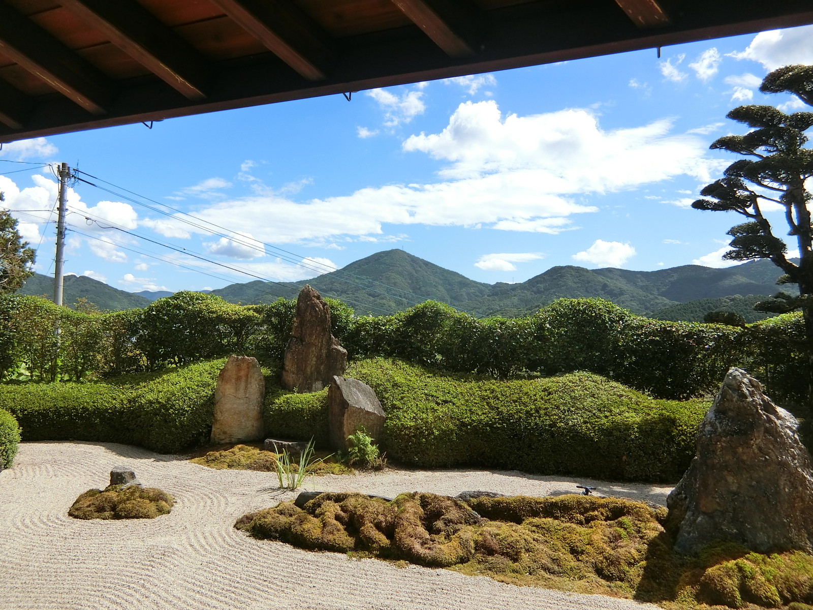 動中の静 いち僧の日記 動中の静 いち僧の日記