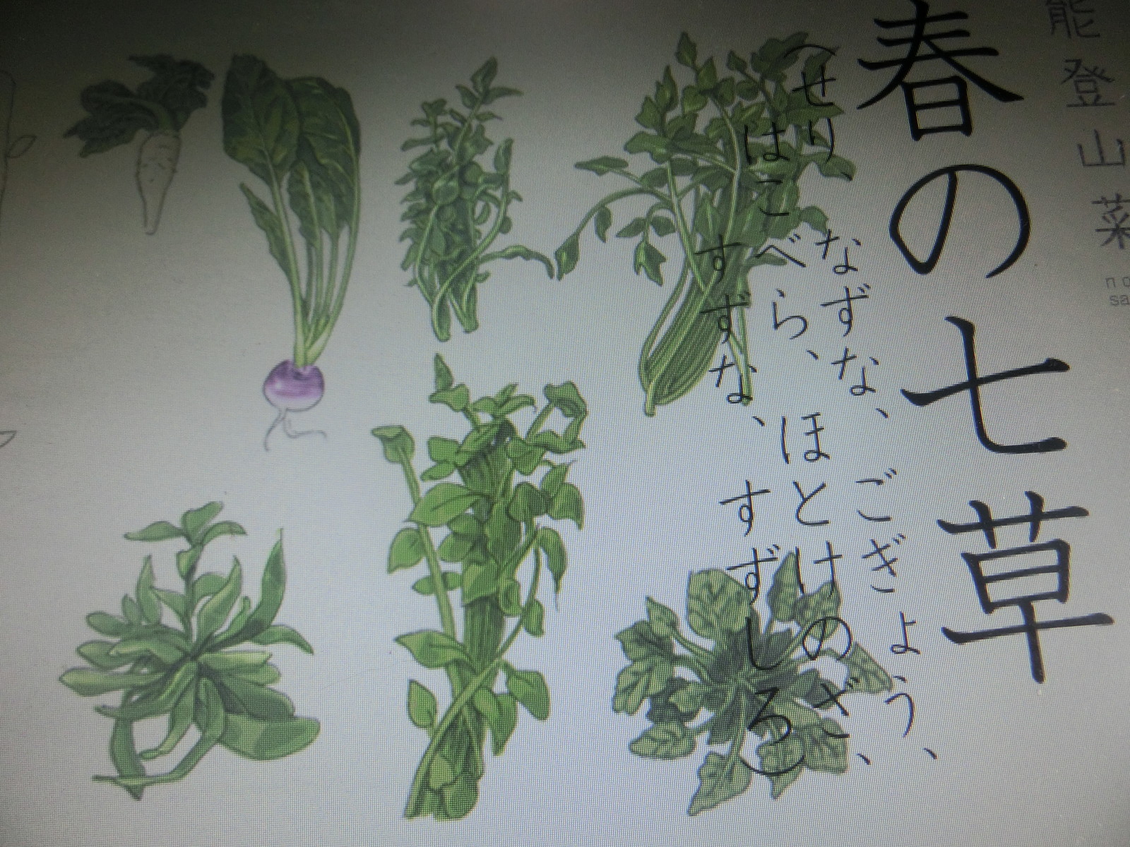 こぼれ松葉をかきあつめ いち僧の日記 こぼれ松葉をかきあつめ いち僧の日記