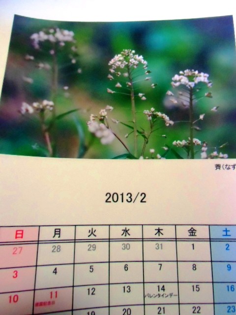 CIMG1720