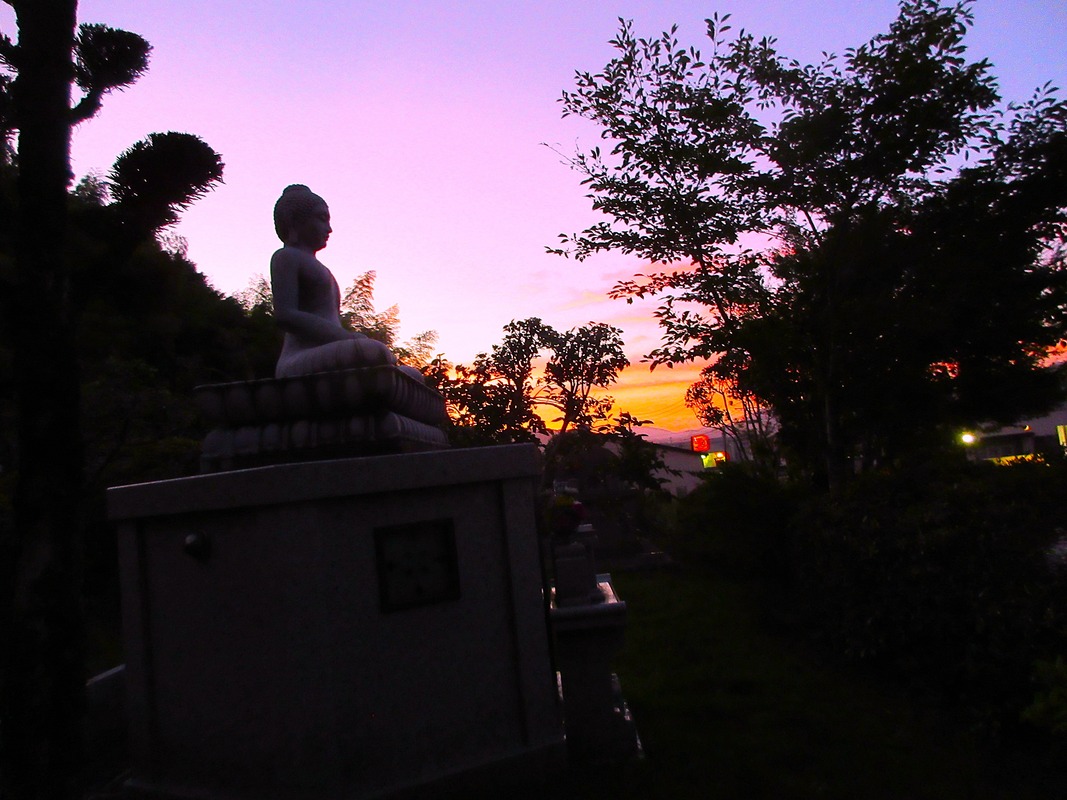 IMG_7731 - コピー (2)