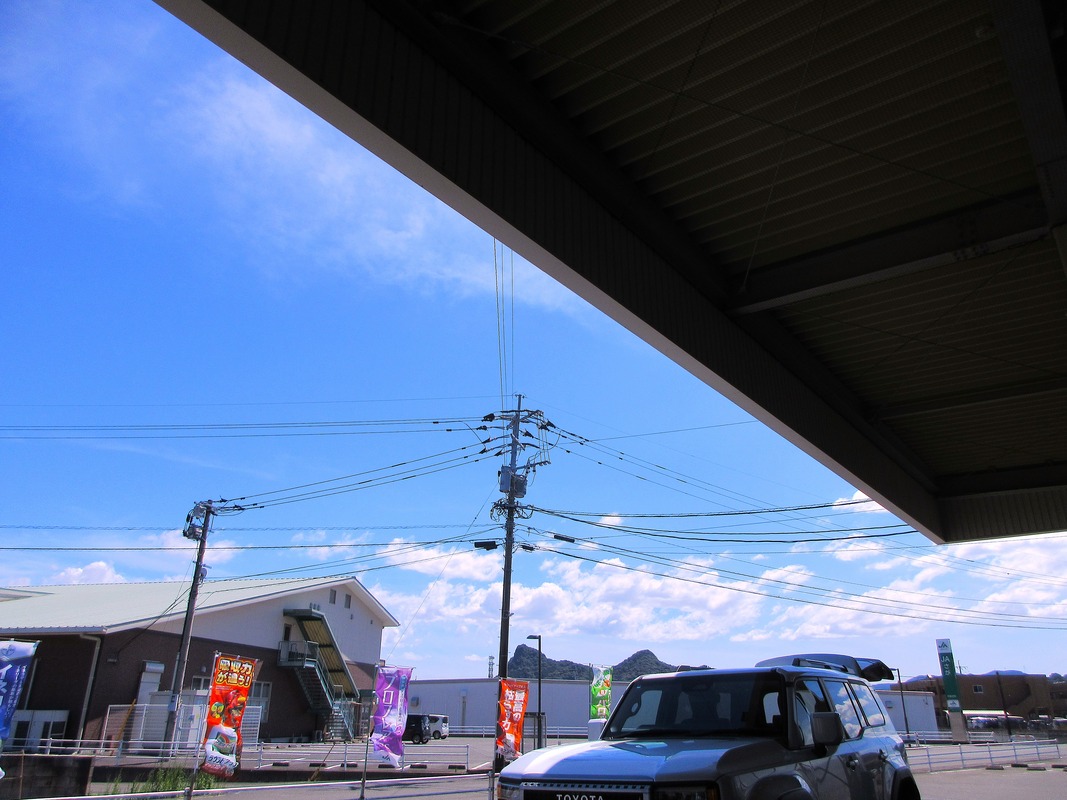 IMG_7703 - コピー