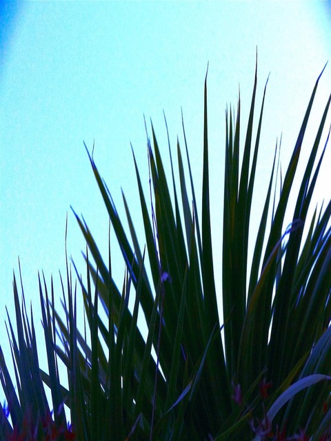 image0