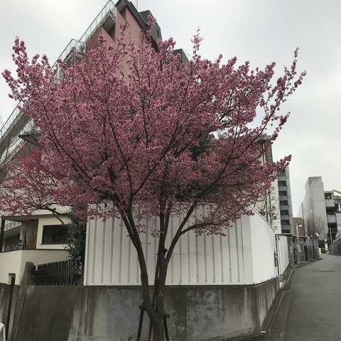 46C9763B-747C-474D-A12E-36E574275761