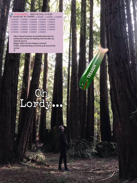 ac892188220d4fec6174d24362ffccd6b15bdb048bcd5c22433086a0093f2659