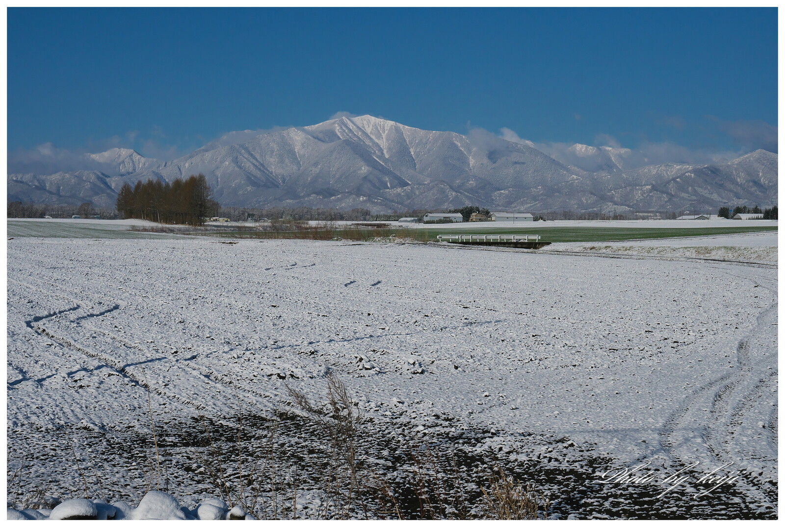 ＊北海道・十勝から自然風景と野鳥＊ : 登山