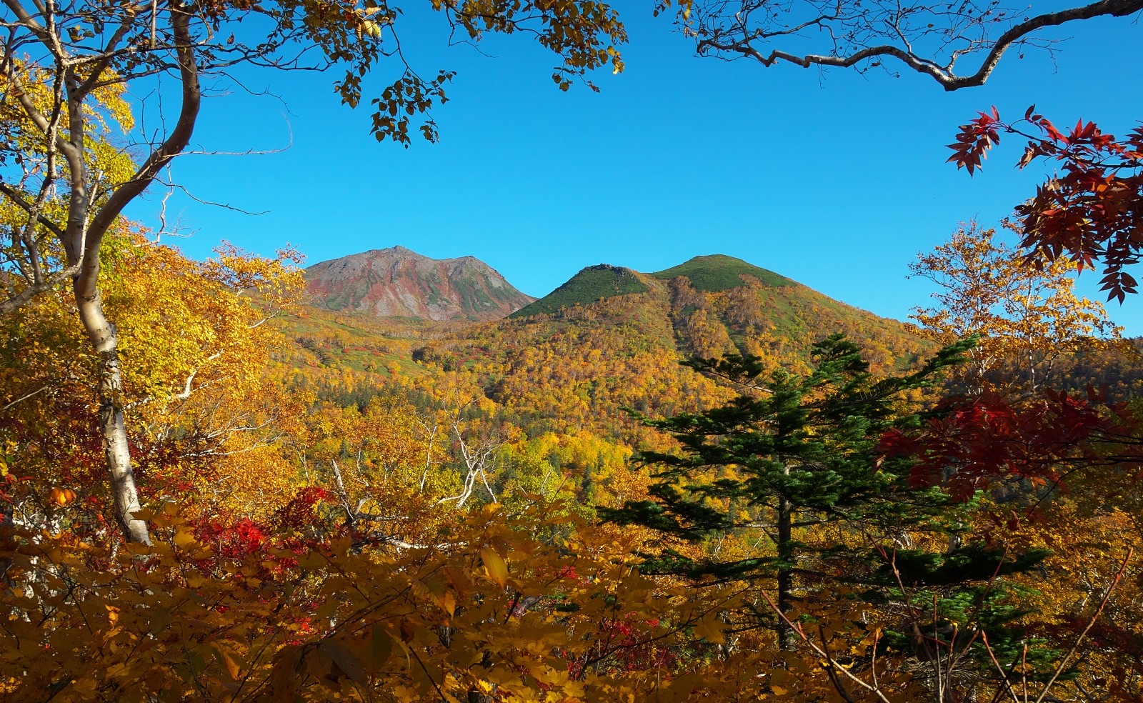 ＊北海道・十勝から自然風景と野鳥＊ : 山登り