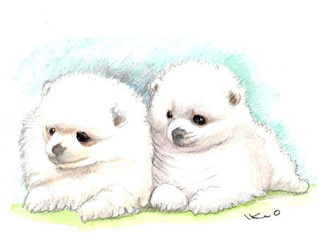 狼林（ROURIN）作　犬（ポメラニアン）の水彩画 2008年 狼林（ROURIN）作 犬（ポメラニアン）の水彩画 2008年 水彩画
