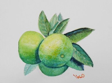 みかん Ikuoの水彩画集